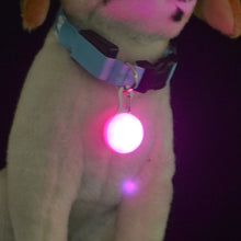 GNOW DOG™Luminous dog necklace